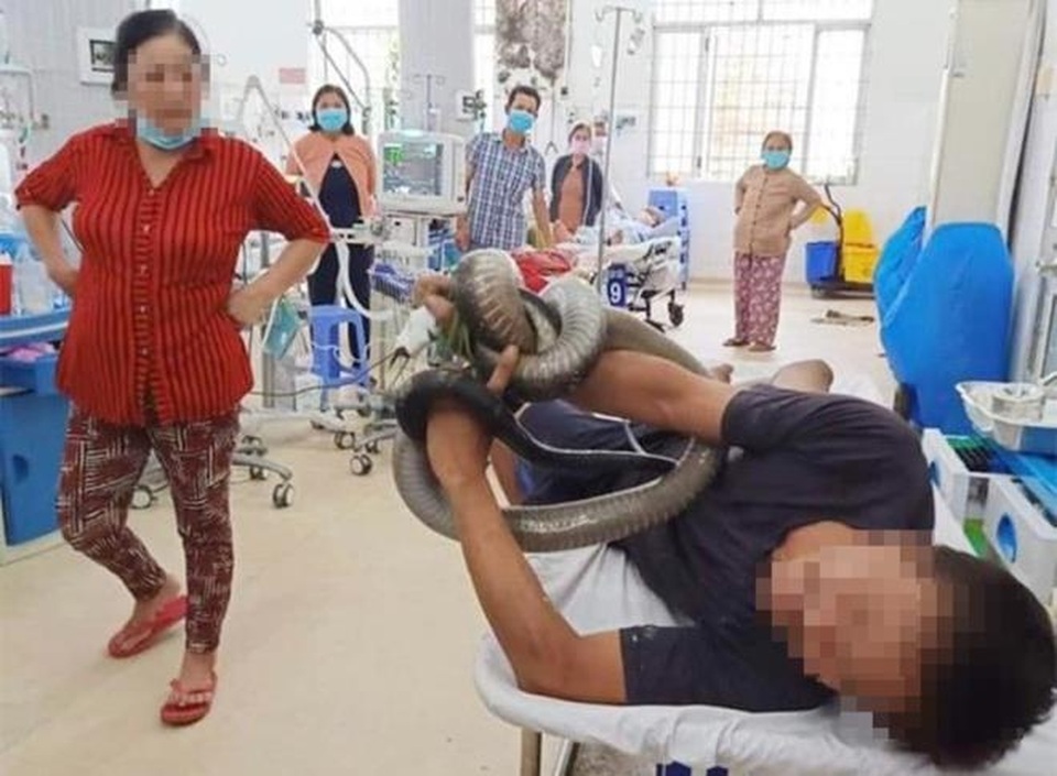 Liều mạng ôm rắn độc lo tiền học cho con: Tình cha, Thái Sơn nào sánh nổi - 1