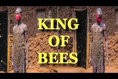 Người đàn ông cho hàng nghìn con ong bám trên cơ thể