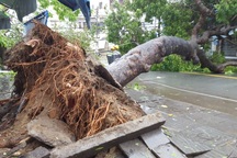 Nha Trang thiệt hại nặng nề nhất trong vòng 20 năm qua