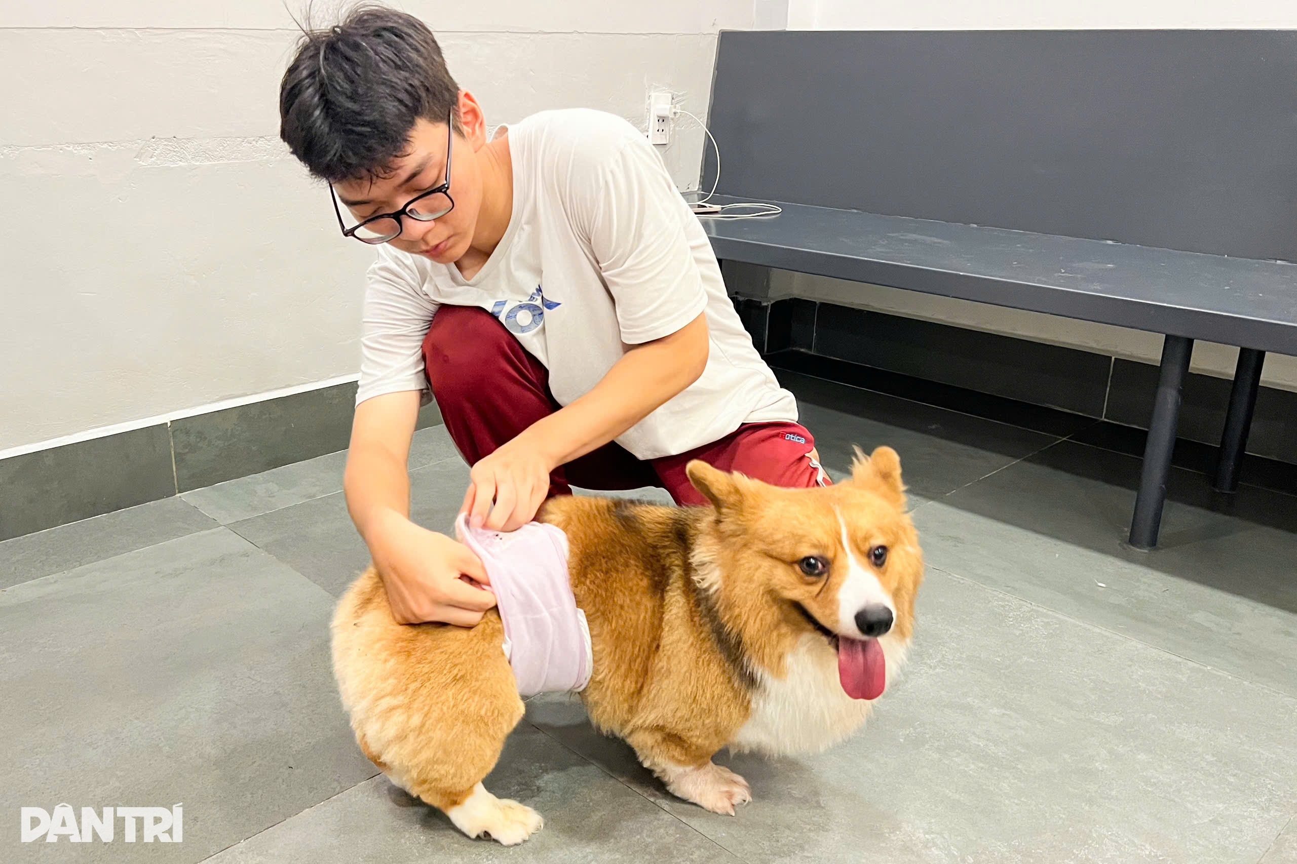 Từ vụ chó Alaska bị đánh đập: Cà phê thú cưng có đang bóc lột vật nuôi? - 6 Từ vụ chó Alaska bị đánh đập: Cà phê thú cưng có đang bóc lột vật nuôi? - 6