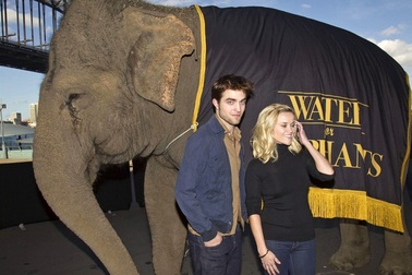 Robert Pattinson - Reese Witherspoon: “Đọ dáng” với voi