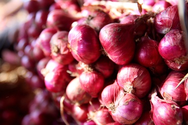 Bộ Công Thương hiệu triệu “giải cứu” hành tím