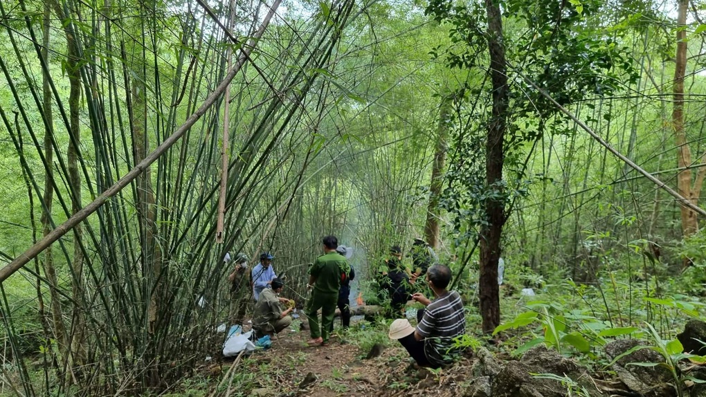Tìm thấy thi thể phụ nữ trong rừng sau nửa tháng mất liên lạc - 1 Tìm thấy thi thể phụ nữ trong rừng sau nửa tháng mất liên lạc - 1