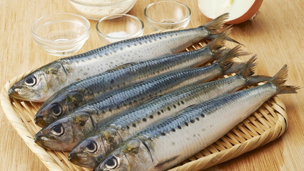 7 loại cá giàu protein tốt cho sức khỏe - 4 7 loại cá giàu protein tốt cho sức khỏe - 4