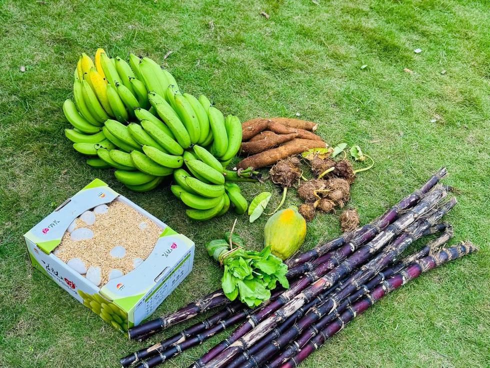 Sợ rau bẩn bụi mịn, vợ chồng ở Hà Nội mua 1.500m2 đất quê để nghỉ dưỡng - 8