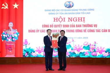 Phó Tổng Thanh tra Chính phủ giữ chức Bí thư Đảng ủy TAND Tối cao