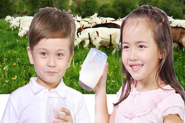 Những điều mẹ cần biết về việc sử dụng sữa dê cho bé