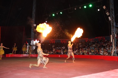 50 nghệ sỹ xiếc quốc tế sẽ biểu diễn trong Gala Xiếc quốc tế tại TP. HCM