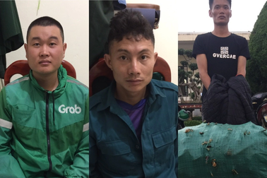 Nhập sâm "đểu" về gắn mác sâm Lai Châu bán giá cao