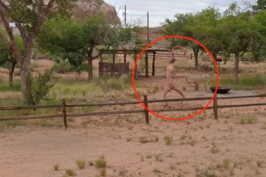 Sự thật về sinh vật kỳ lạ và đáng sợ xuất hiện trên Google Street View