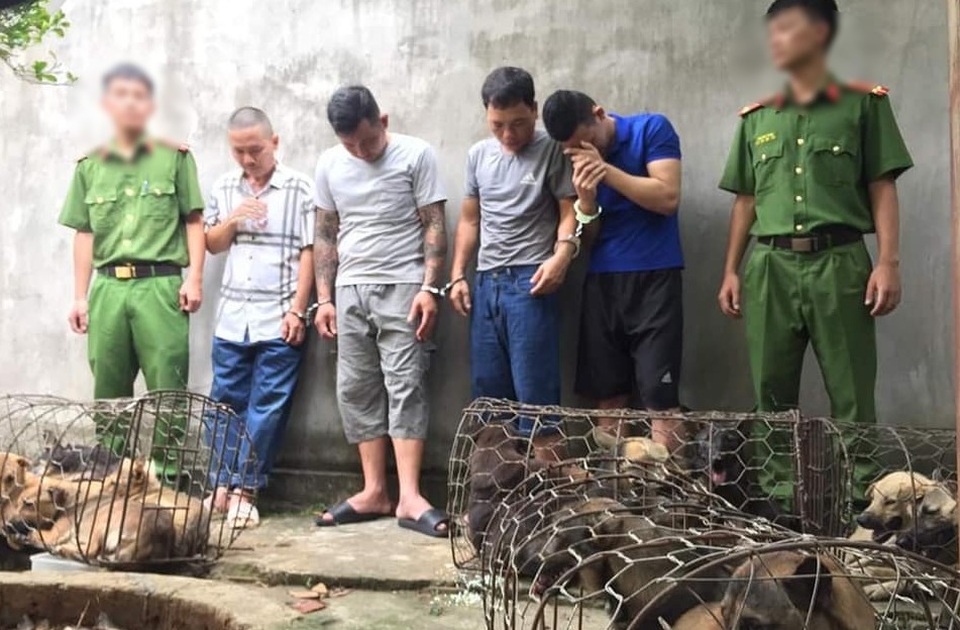 Đội quân trộm chó liên tỉnh sa lưới - 1 Đội quân trộm chó liên tỉnh sa lưới - 1