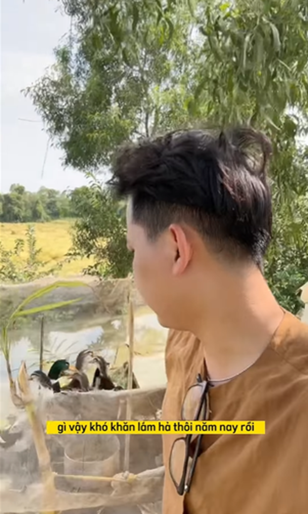 BTV Hữu Trí chiếm sóng mạng xã hội vì nói chuyện được với heo, vịt và lúa - 3 BTV Hữu Trí chiếm sóng mạng xã hội vì nói chuyện được với heo, vịt và lúa - 3
