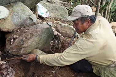 Truy lùng thuốc “trị ung thư”