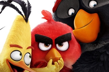 Những chú chim cáu giận