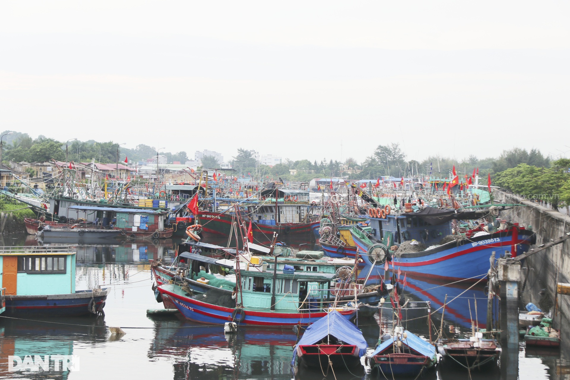 Ngư dân Hải Phòng lo lắng trước khi bão Yagi đổ bộ vào đất liền - 2 Ngư dân Hải Phòng lo lắng trước khi bão Yagi đổ bộ vào đất liền - 2
