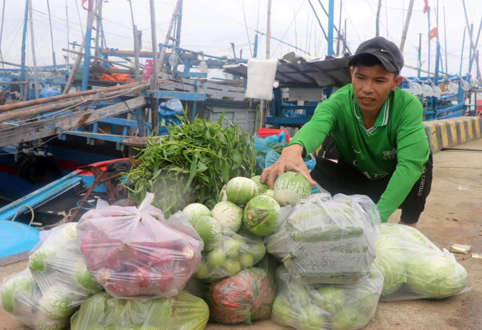 Hàng trăm ngư dân Phú Yên vươn khơi đón Tết trên biển - 2 Hàng trăm ngư dân Phú Yên vươn khơi đón Tết trên biển - 2
