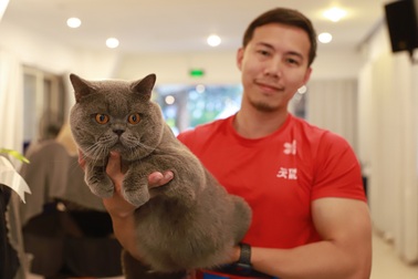 Mang mèo gần 1 tỷ đồng sang Việt Nam để thi giải sắc đẹp