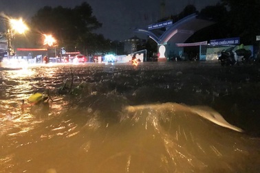 Hồ điều tiết chống ngập lại “thất thủ” trong cơn mưa lớn