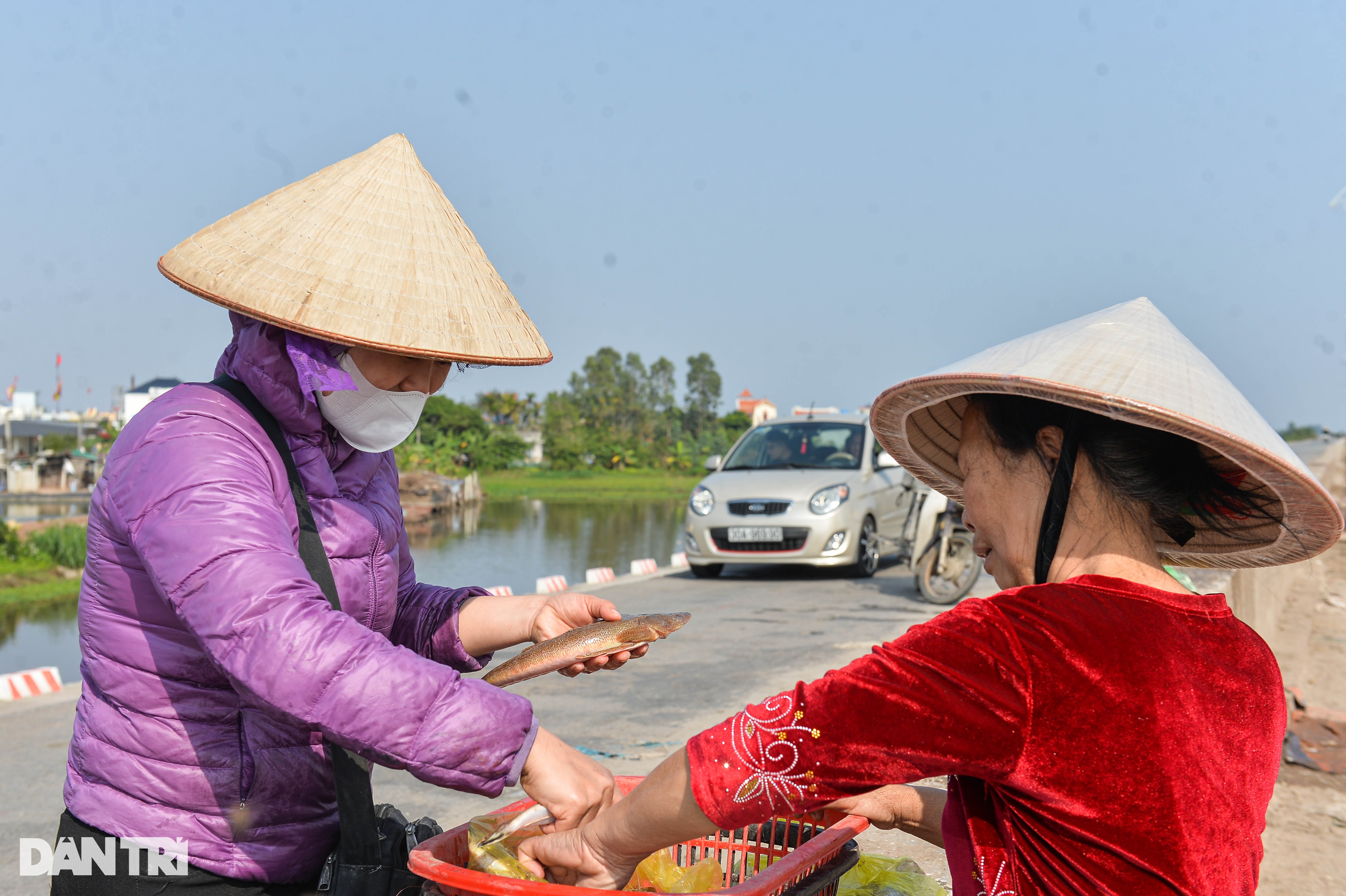 Xông biển mùng 1 Tết, ngư dân kiếm tiền triệu - 6