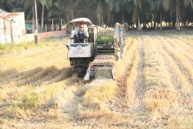 Kiếm tiền triệu mỗi ngày, nhờ cuộn rơm thuê