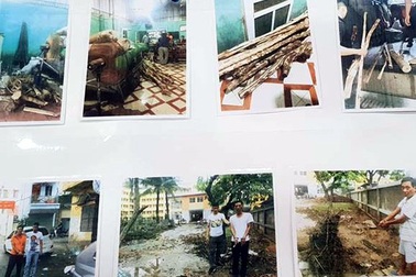 Triệt phá ổ nhóm trộm gỗ sưa ở Hà Nội