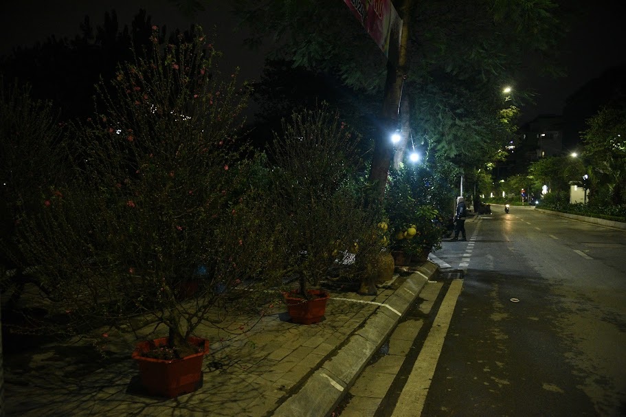 NTD_9707.JPG