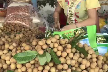 Nhãn cổ đường phèn