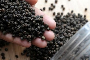 Hàng loạt container hồ tiêu bị mắc kẹt ở Nepal được giải cứu thành công