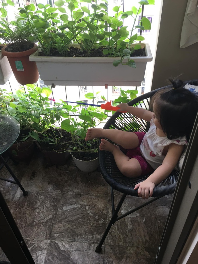 Với chi phí 2,5 triệu đồng, bà mẹ Hà Nội trồng đủ loại rau sạch cho các con thưởng thức hàng ngày - Ảnh 4. Với chi phí 2,5 triệu đồng, bà mẹ Hà Nội trồng đủ loại rau sạch cho các con thưởng thức hàng ngày - Ảnh 4.
