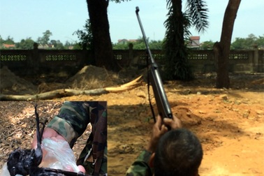 Hãi hùng cảnh dùng súng tàn sát chim trời tại Khu lưu niệm Nguyễn Du