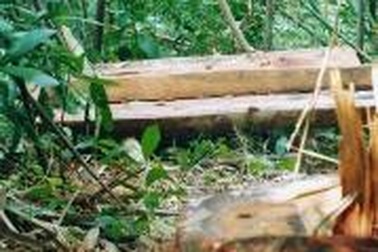 Bắt đối tượng tấn công cán bộ BQL rừng phòng hộ Sông Tiêm