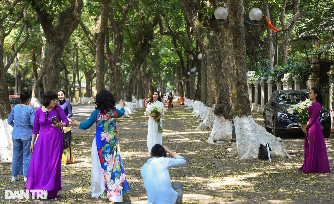 Chị em Hà thành chịu chơi, chi tiền triệu săn ảnh hoa loa kèn - 4 Chị em Hà thành chịu chơi, chi tiền triệu săn ảnh hoa loa kèn - 4