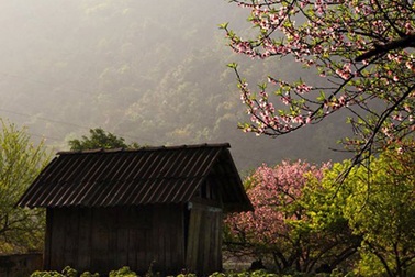 Tây Bắc bừng sắc xuân