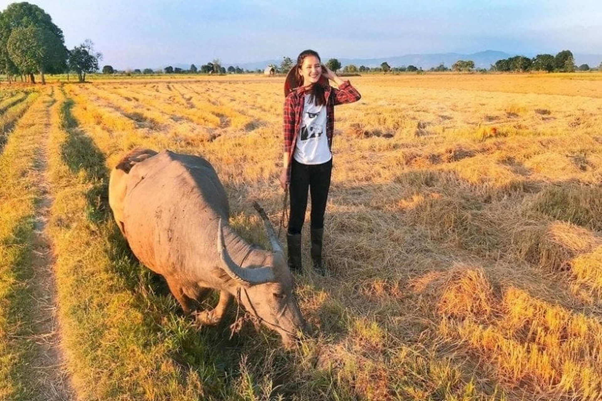 Á hậu Hương Ly: Tuổi thơ chăn trâu, bất ngờ lên xe hoa với chồng doanh nhân - 7