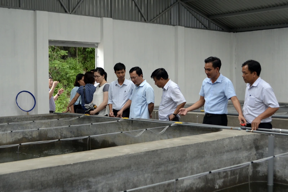 Nghe lời cha, 10 anh em cầm sổ đỏ để đánh bạc với trời - 10 Nghe lời cha, 10 anh em cầm sổ đỏ để đánh bạc với trời - 10