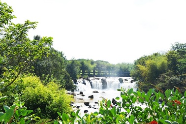 4 chiến lược lớn của LDG thu hút nhà đầu tư