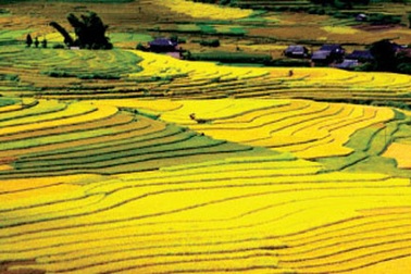 Du lịch Việt Nam đứng ở đâu?