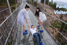 Những vụ nứt cầu đáy kính từng gây xôn xao khiến dư luận bất bình