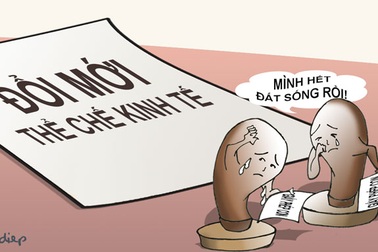 Cuộc “điểm quân” cho một chiến dịch lớn!