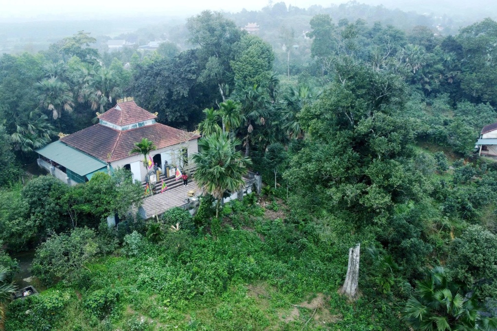 Hai cây báu vật hơn 200 năm tuổi thương lái trả tiền tỷ, dân không bán - 1 Hai cây báu vật hơn 200 năm tuổi thương lái trả tiền tỷ, dân không bán - 1