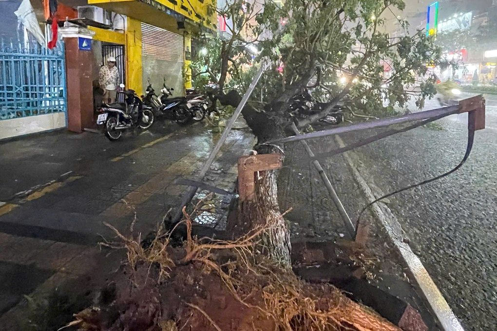 Mưa kèm sấm sét khiến cây xanh bật gốc, đường phố Đà Nẵng ngập úng - 1