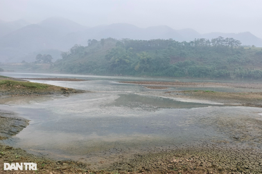 Khúc sông Hồng đen kịt, bốc mùi vì nước thải của nhà máy sắn
