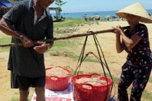 Lãi 2 triệu/ngày nhờ trúng đậm ruốc biển tươi rói