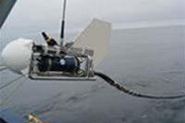 Xử phạt nghiêm chủ tàu trộm cáp biển