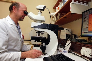 Tinh trùng của động vật có vú có thể tồn tại 200 năm trong không gian?