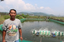 Thị trường ốc hương gặp khó, người dân làm nghề lo lắng