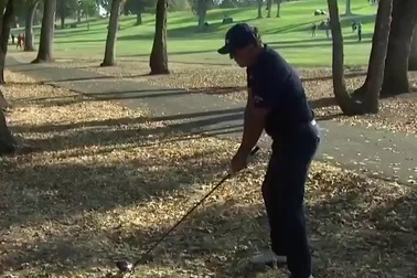 Phil Mickelson dùng gậy driver cứu bóng ra từ trong rừng