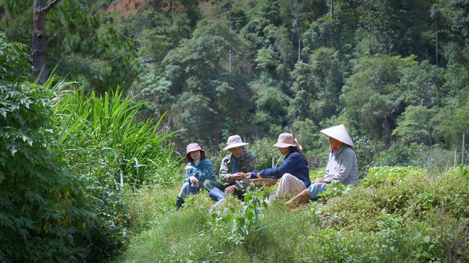 Cuộc sống bình dị vạn người mơ của cô gái làm nhà gỗ, trồng rau ở Đà Lạt - 10