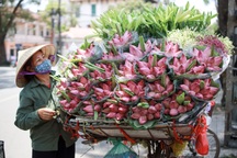 Những điều Hà Nội "đánh mất"