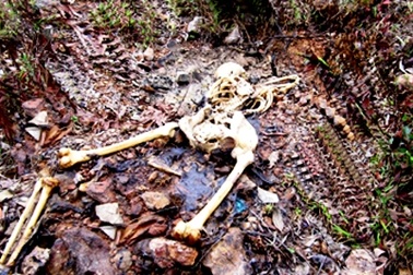 Phát hiện bộ xương người đang phân huỷ